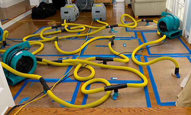 Professional Water Damage Repair technician working in Davenport, IA